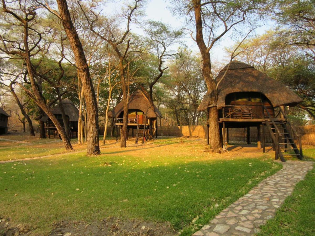 The Tree Lodge At Sikumi Dete Εξωτερικό φωτογραφία