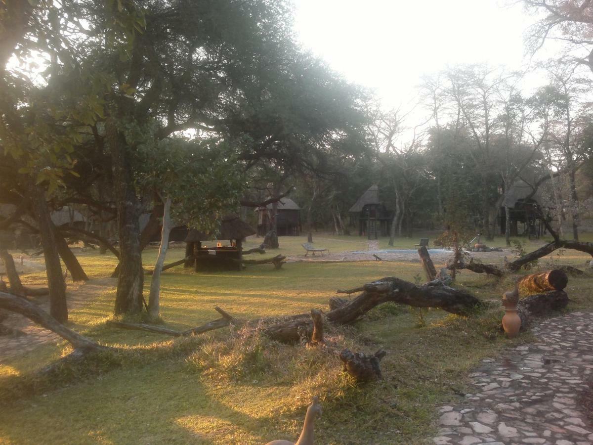 The Tree Lodge At Sikumi Dete Εξωτερικό φωτογραφία